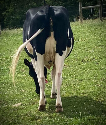 148861