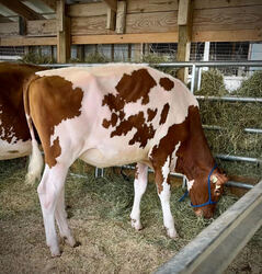 148786