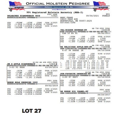 262601