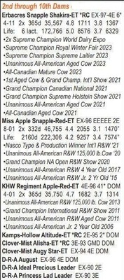 236523