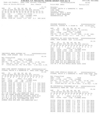 251824