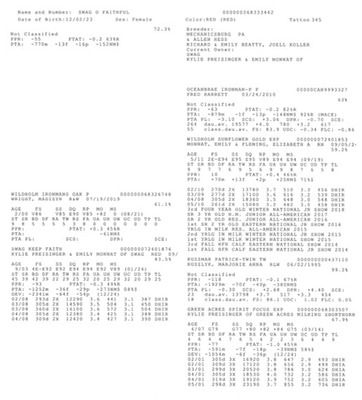 251826