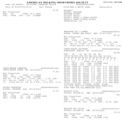 251829