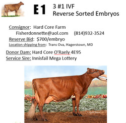 251811