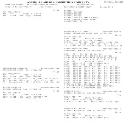 251829
