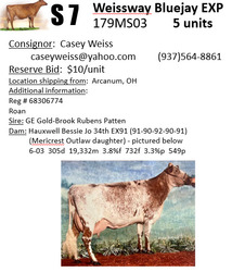 251839