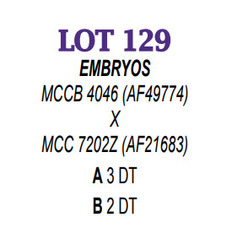 264613