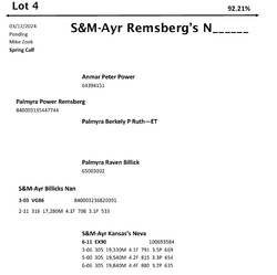 264043