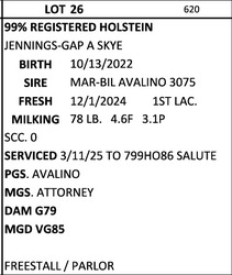 252593