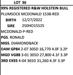 252616