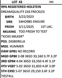 252638