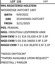 266157