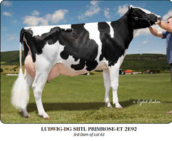 263152