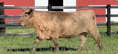 279450