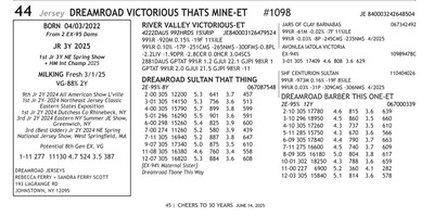 274061