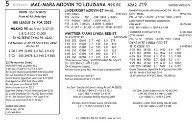 274074