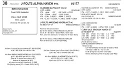 274046