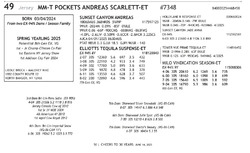 274072