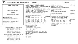 274093