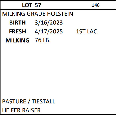 271004