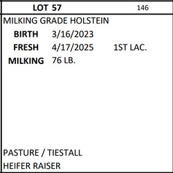 271004