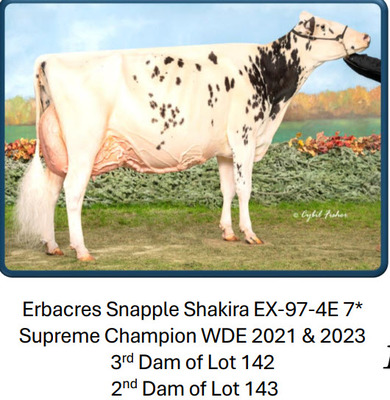 269619