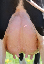 269832