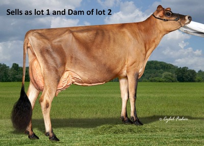 268807