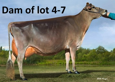 268814