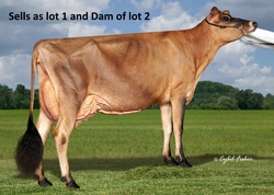 268810