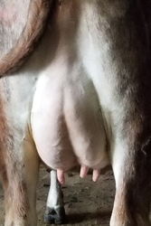 269090