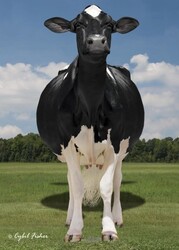 269188