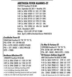 269211