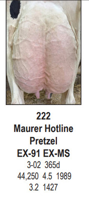 270623