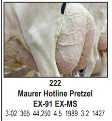 270622