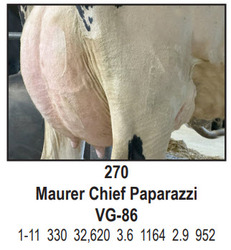270640