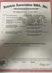 271872