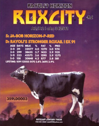 272494