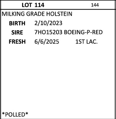 274549
