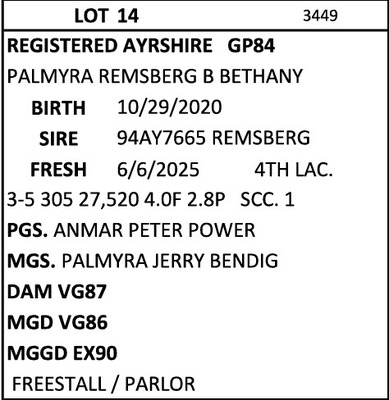 274591