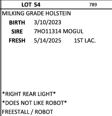 274826