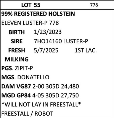 274839