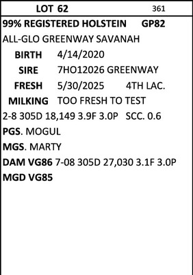 274856