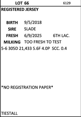 274864