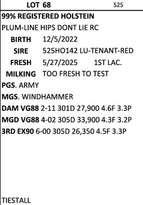 274868