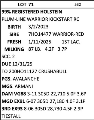 274876