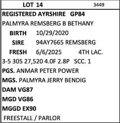 274591
