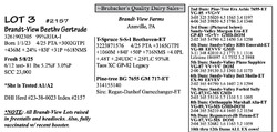 274629