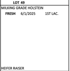 274765