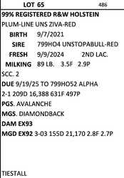 274862